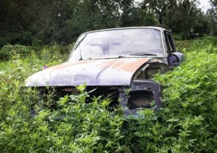 Texas Law on Abandoned Vehicles