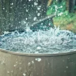 Is It Illegal to Collect Rainwater in Texas