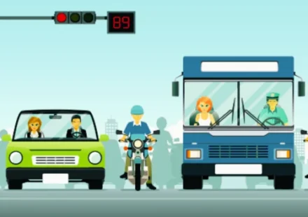 Driving Laws