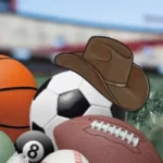 Most Popular Sports in Texas