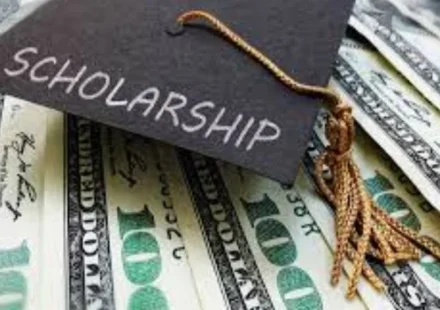 Texas Scholarship Guide