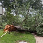 Texas Storm Damage
