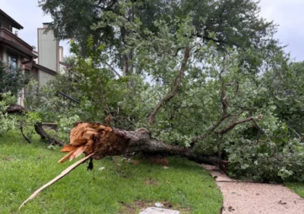 Texas Storm Damage